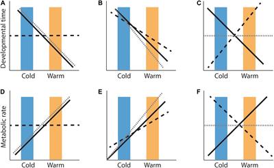 Countergradient Variation in <mark class="highlighted">Reptiles</mark>: Thermal Sensitivity of Developmental and Metabolic Rates Across Locally Adapted Populations